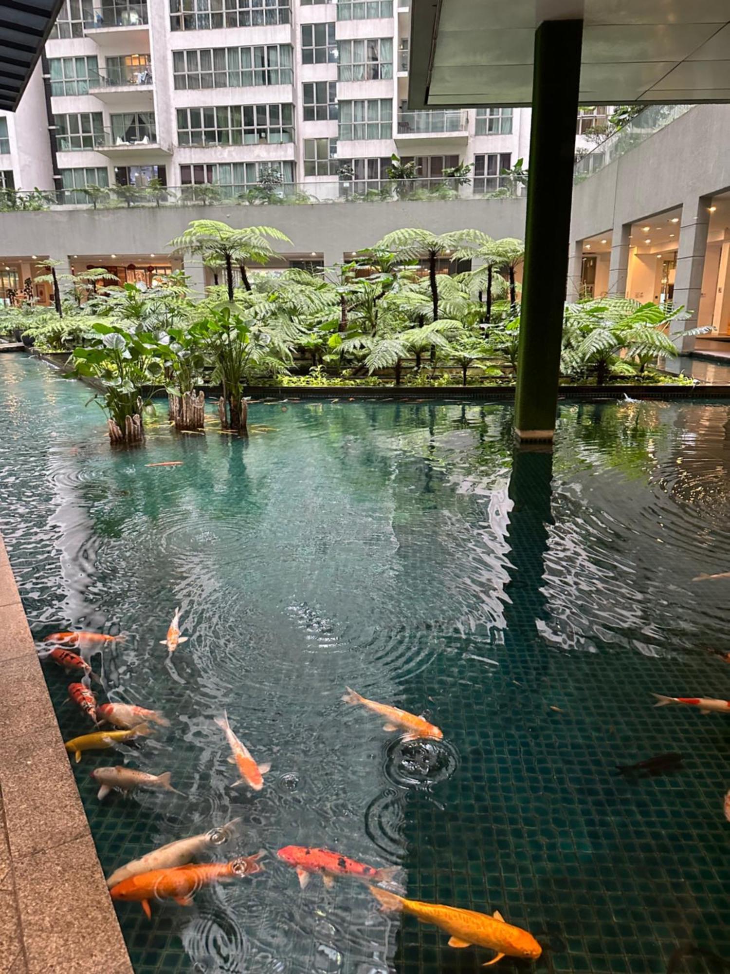 Modern Bauhaus Studio At Regalia Klcc Infinity Pool Kuala Lumpur Luaran gambar
